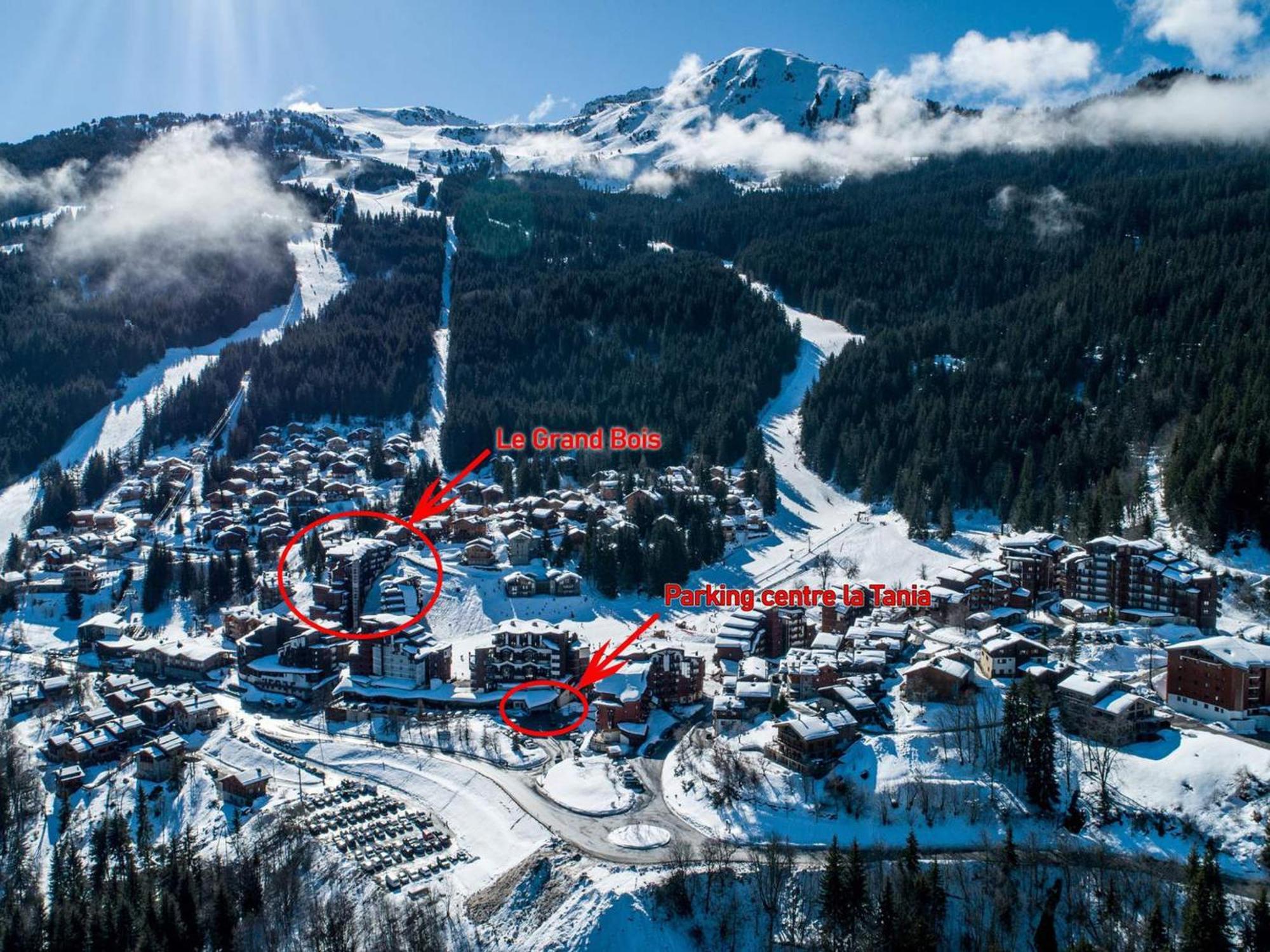 2 Pieces Pour 4 Pers. A La Tania, Balcon Est, Le Grand Bois A, Skis Aux Pieds - Fr-1-182a-20 * Courchevel